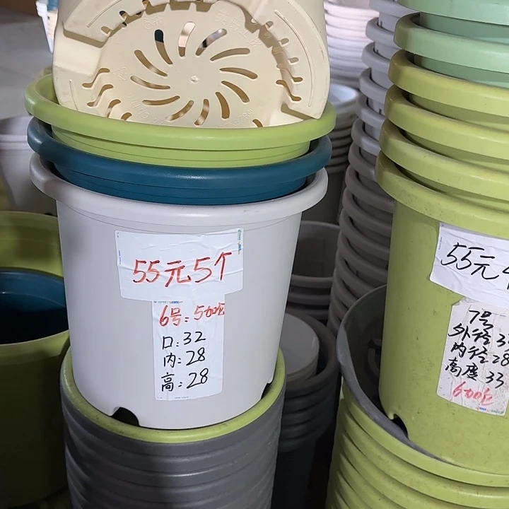 微瑕6#口径32无托果绿5个