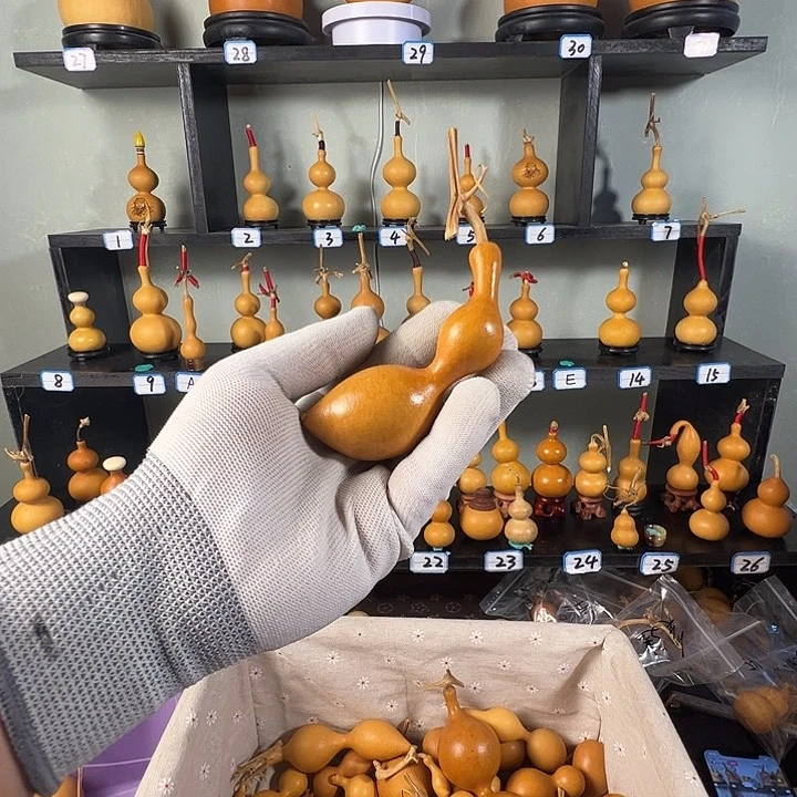 恭****）蚂蚁蚂蚁蚂蚁蚂蚁