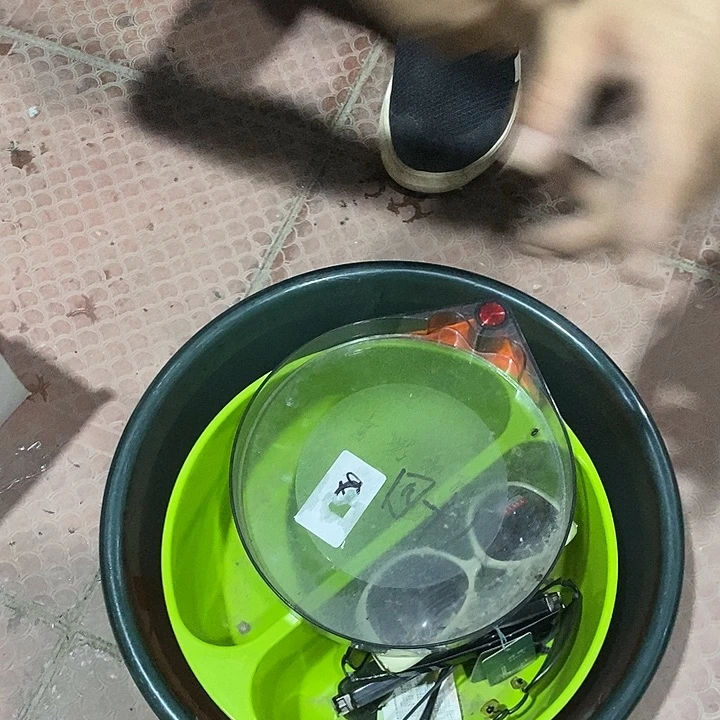 盆加眼镜随机发一堆瑕疵