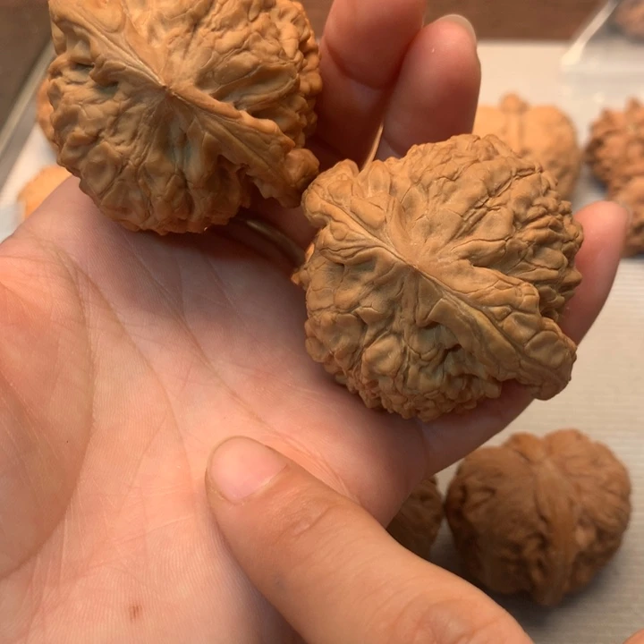 文玩核桃把件全品龙鼎50