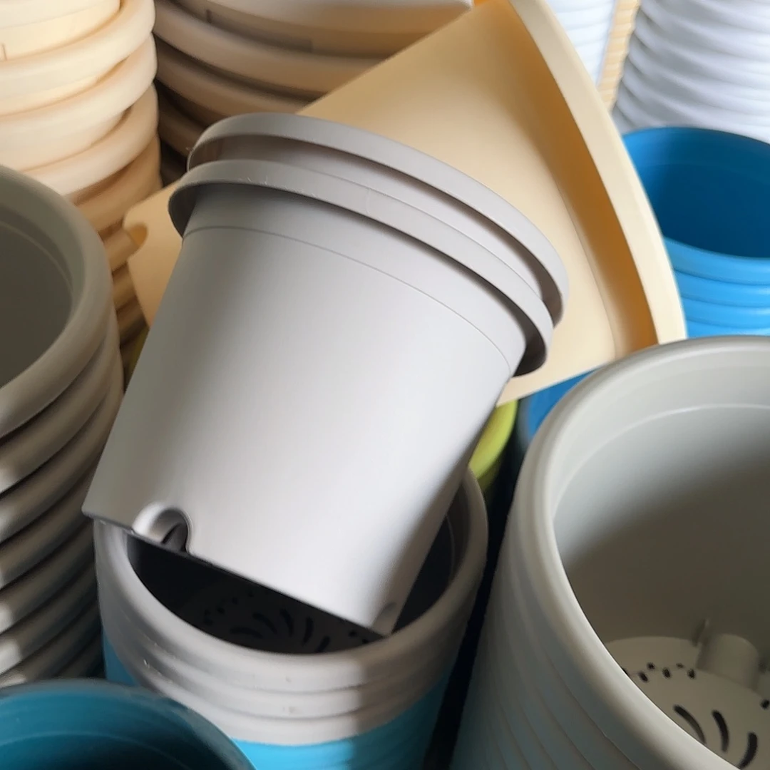 树脂四季3号无托10个灰白微瑕