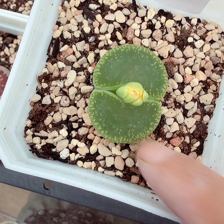 这个点睡一回儿不582