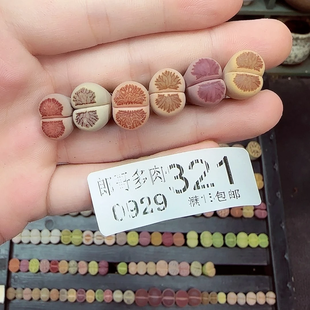 阿***7满满18包邮0929-321