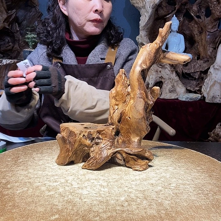 蓝**原858。株木随行小根艺