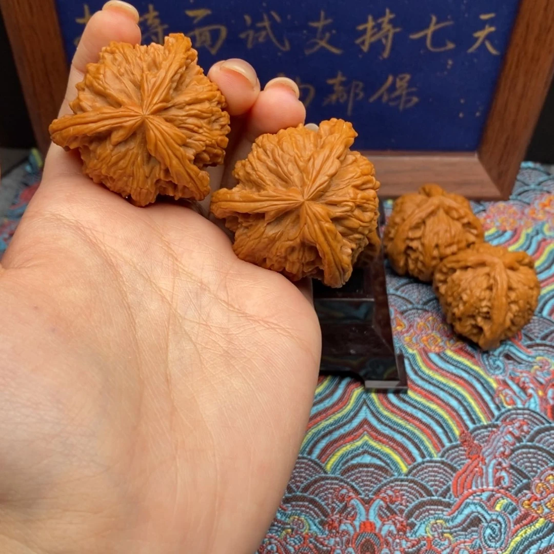 【闪购商品】我*我白狮