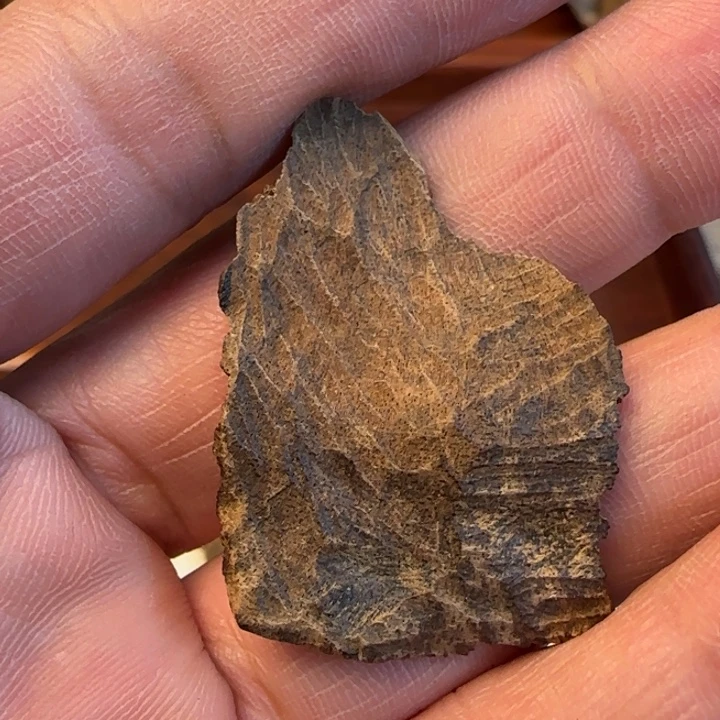 摆件沉香霸王岭沉水包头1.79克