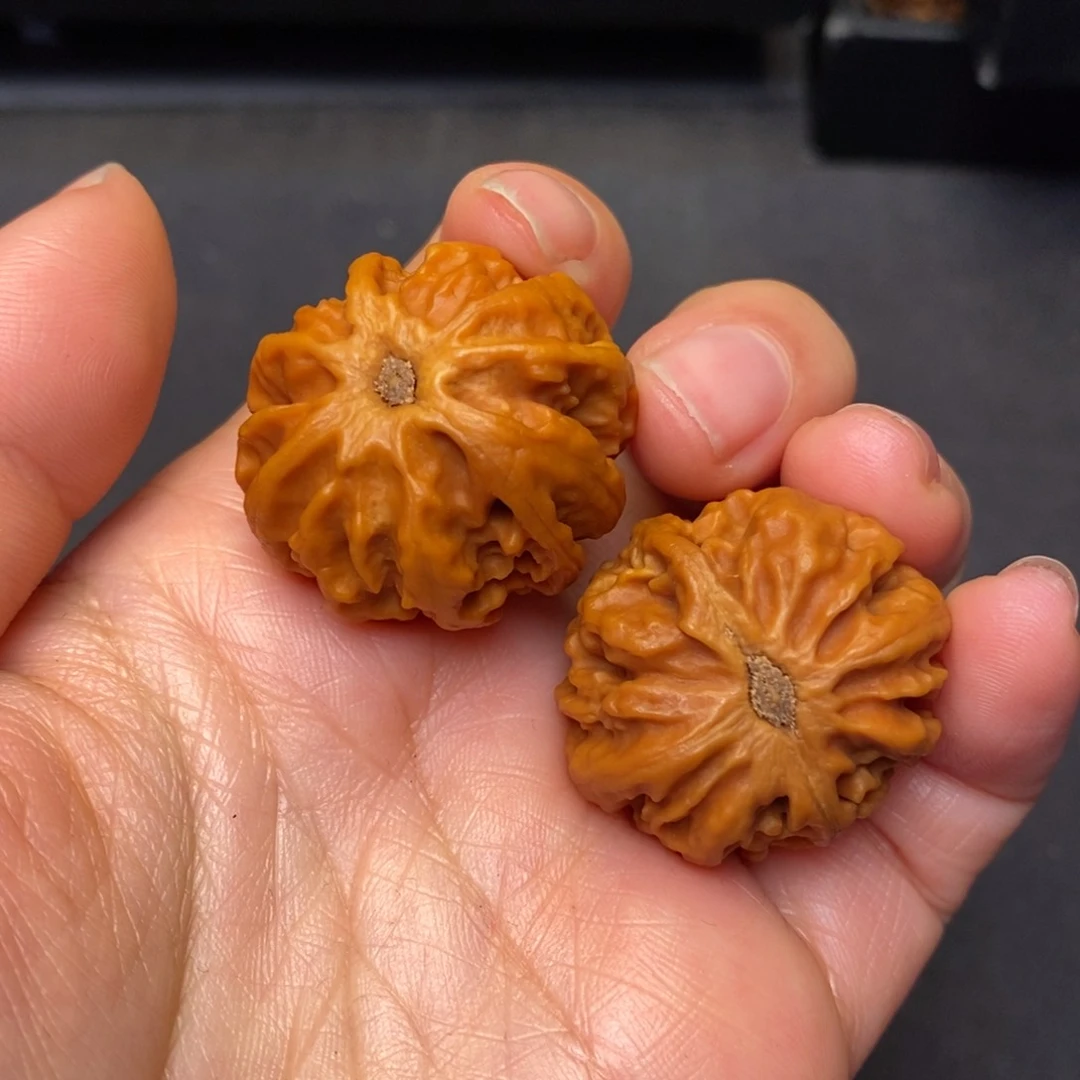 文玩核桃把件秦岭核桃