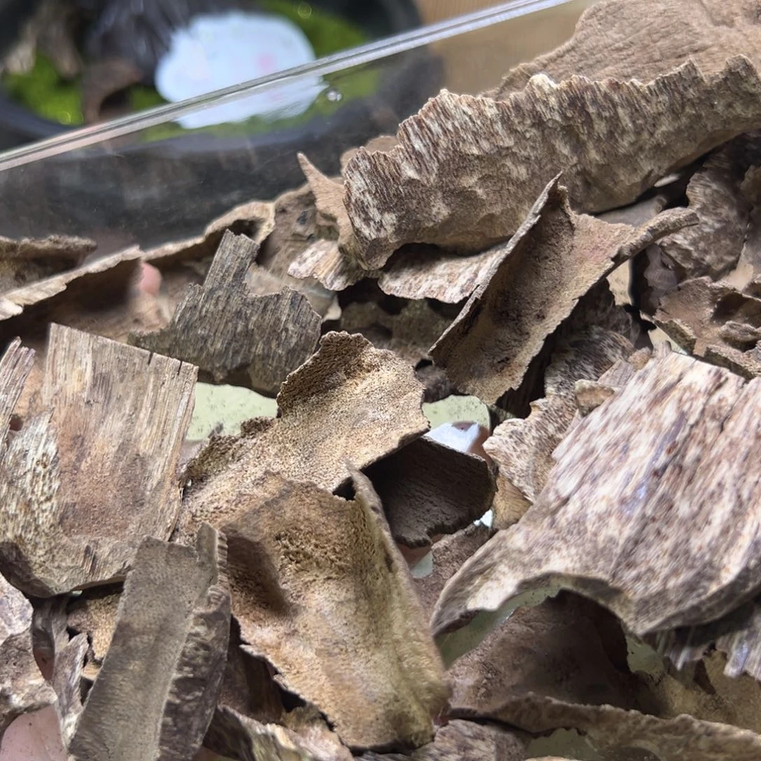 香榧木木料越南芽庄冷钻香12克