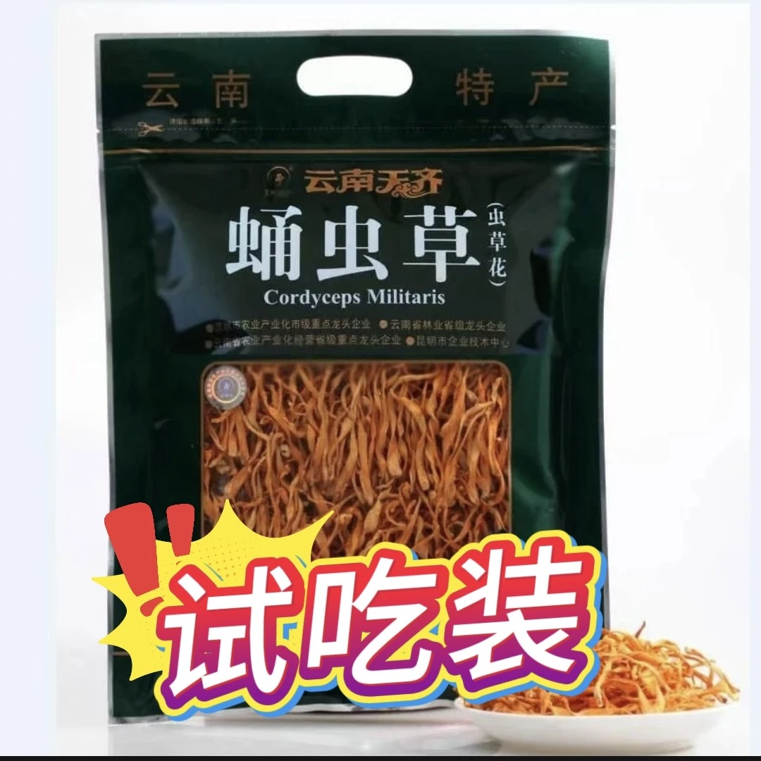 云南天齐周年庆50g蛹虫草