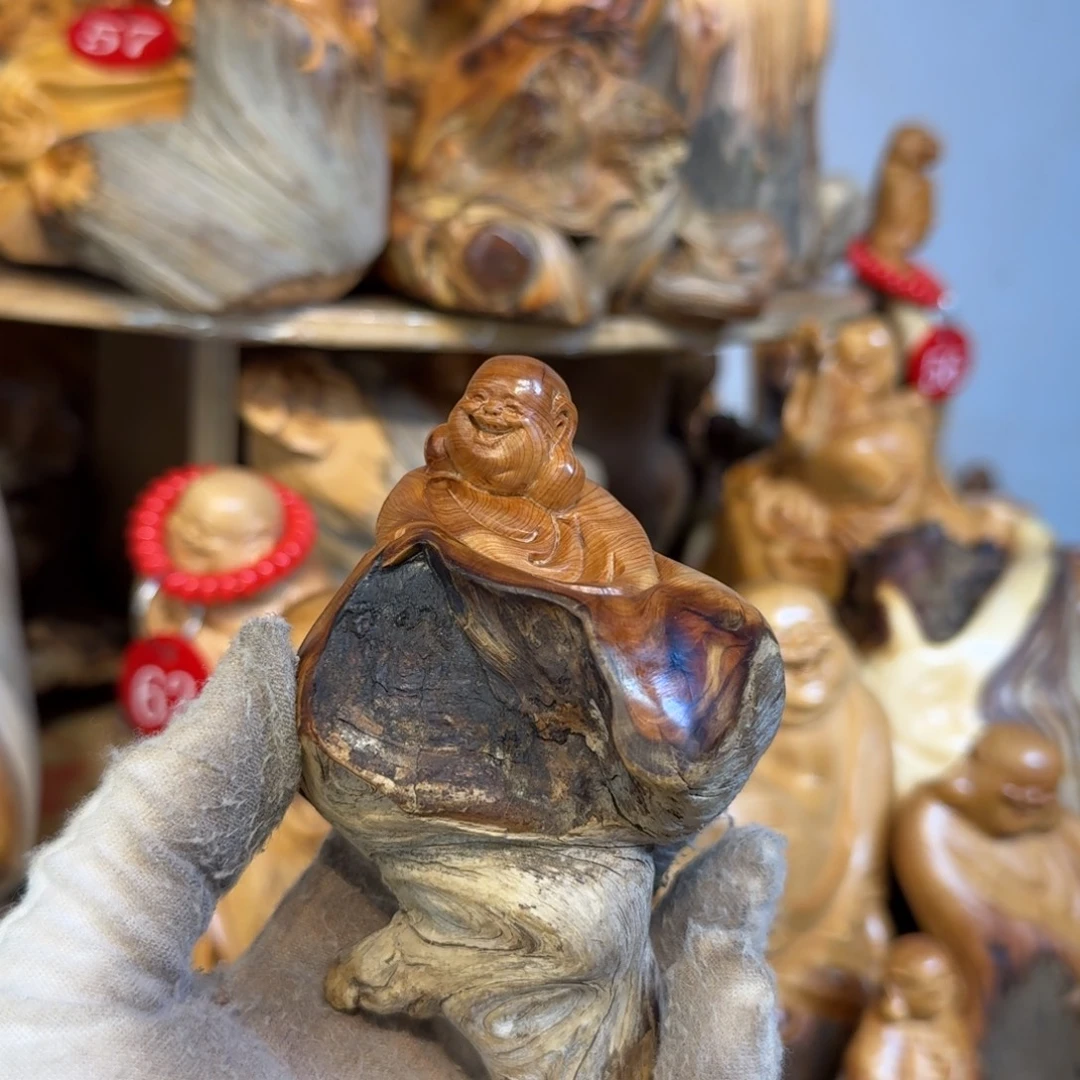 猴***子柏木（崖柏）66666666666