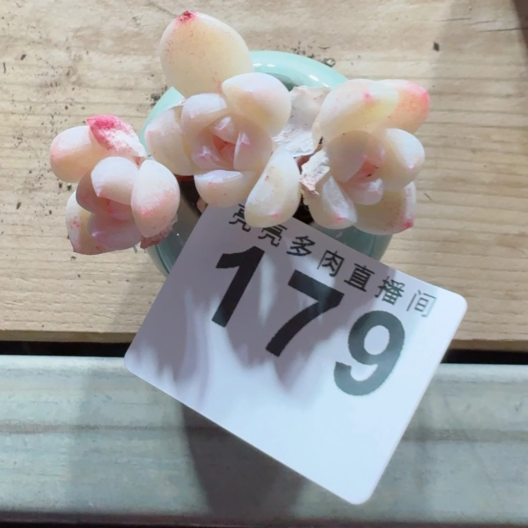 当***归白冰      愿你一路坦途，乘风破浪展宏图