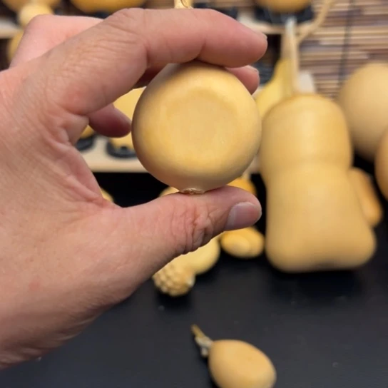 财****来5598899999998899