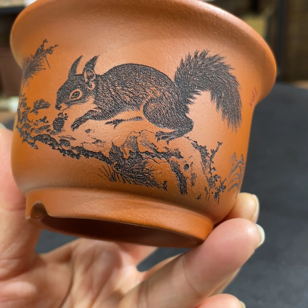 花盆紫砂紫砂花盆在这里