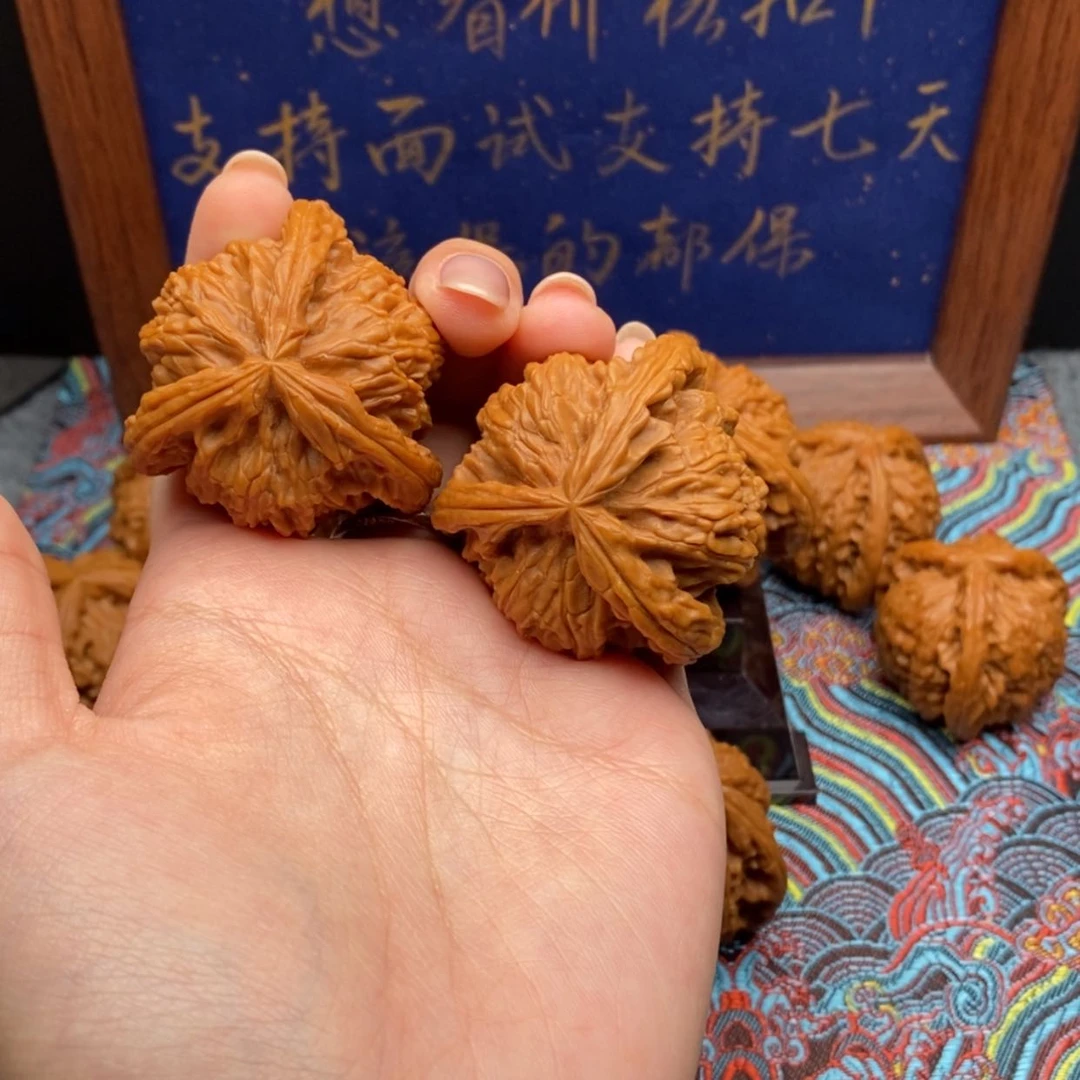 【闪购商品】虎*哥白狮
