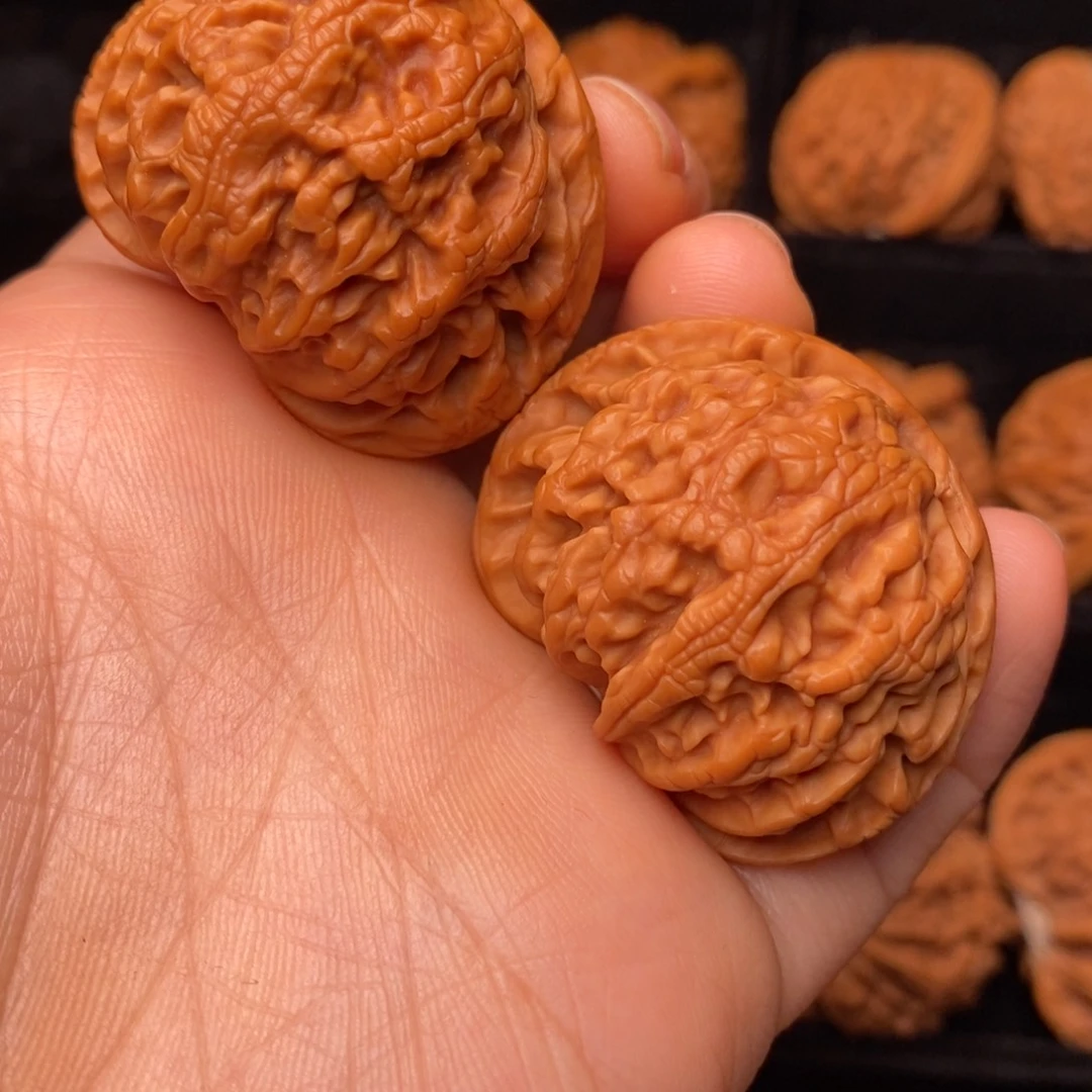 文玩核桃把件秦岭野生核桃