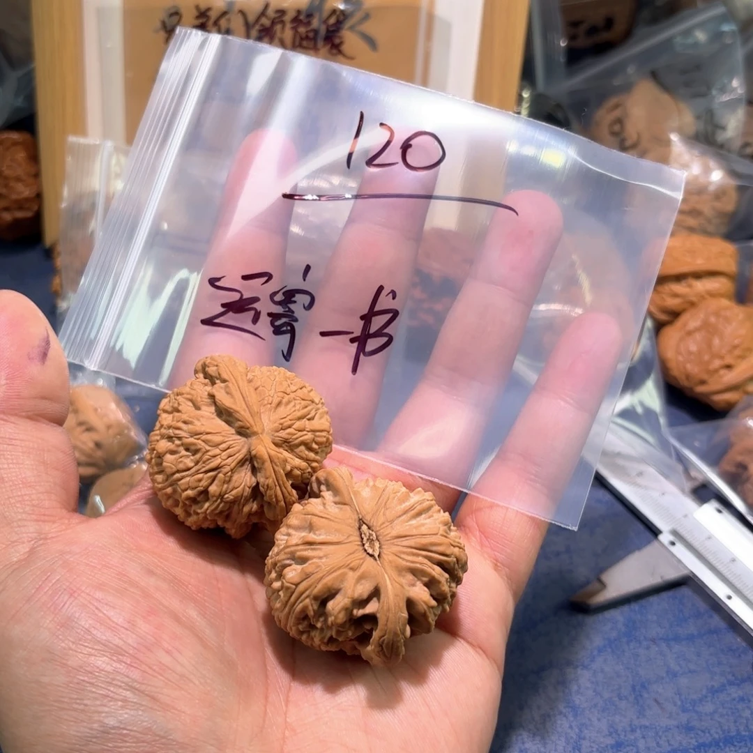 远***书桃核吊坠全品44白狮子