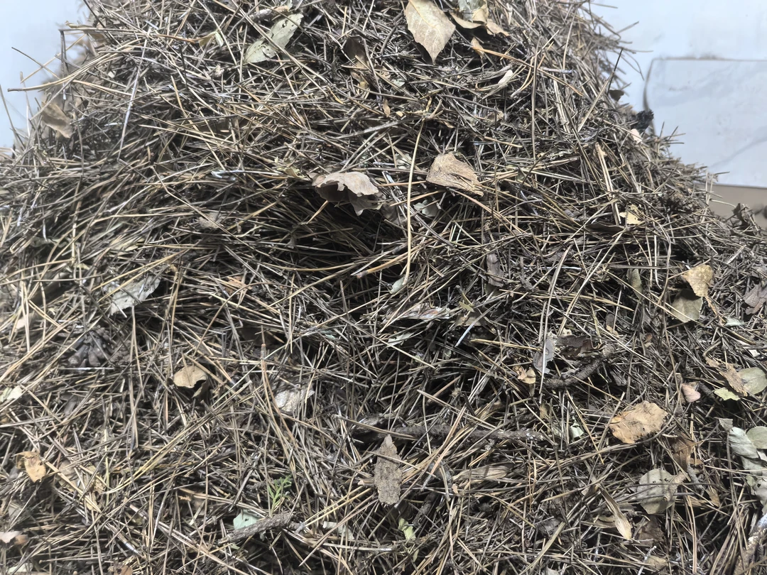 天然腐熟松针腐叶土疏松透气保水适合兰花君子兰通用