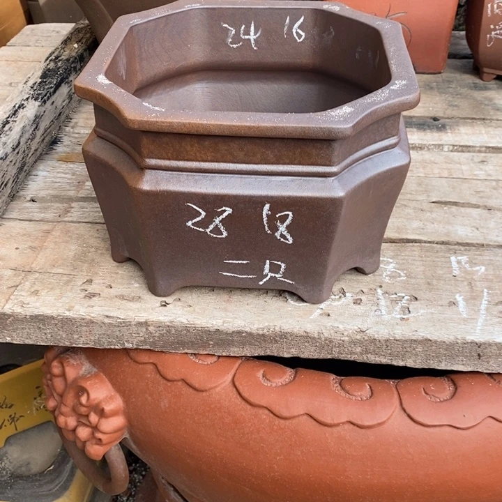 紫砂花盆只顾看手机的