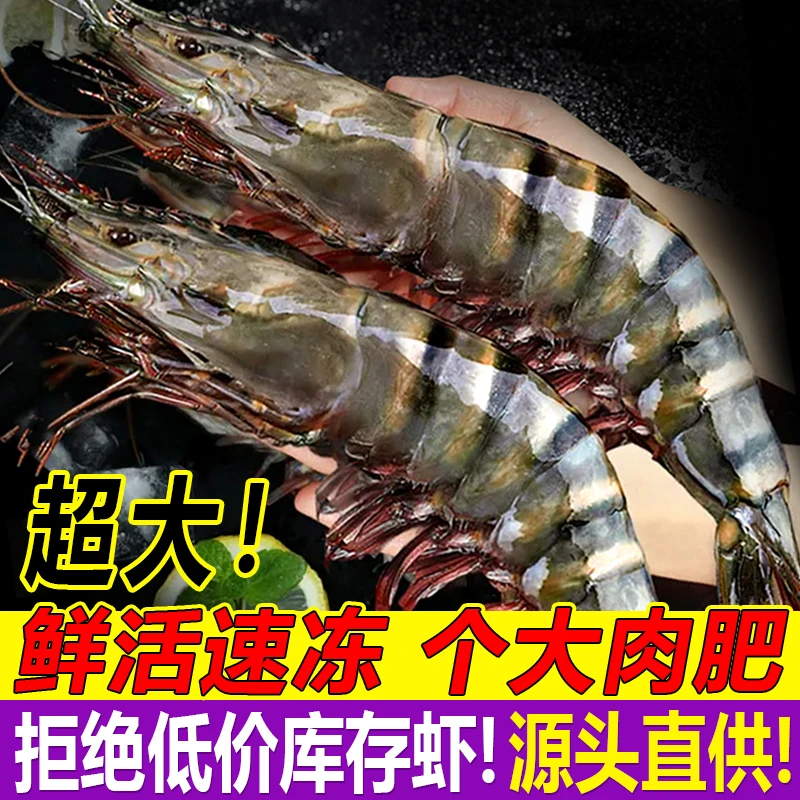 印度黑虎虾新鲜16/20超大鲜活速冻海鲜水产特大基围虾竹斑九节虾