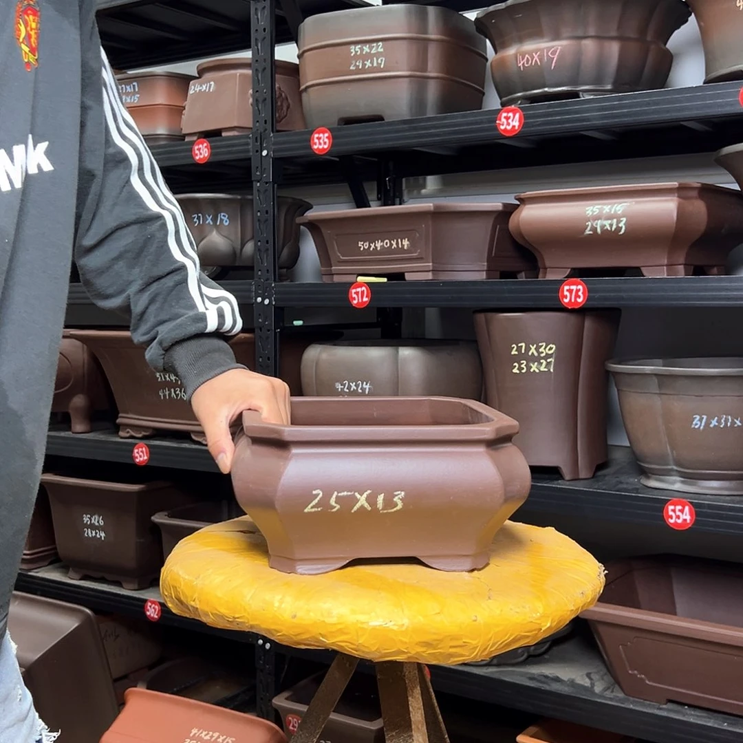 紫砂其他呜呜呜呜