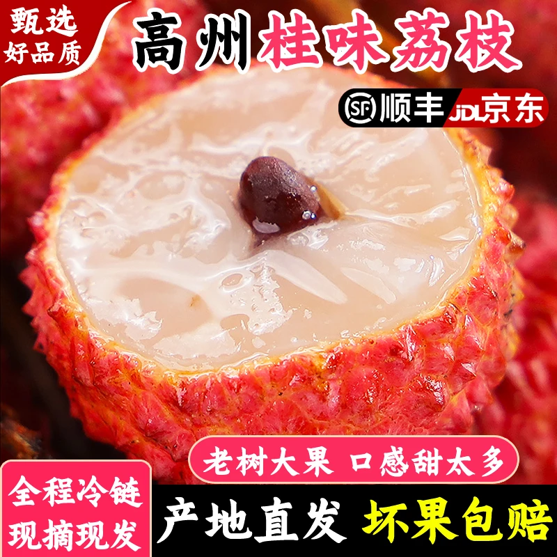 【顺丰包邮】茂名高州老树新鲜桂味荔枝皮薄肉厚核小现摘现发