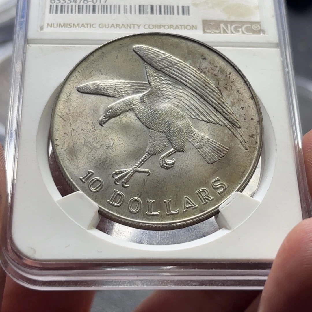 镀银币新加坡海鹰10元31克50%纯银