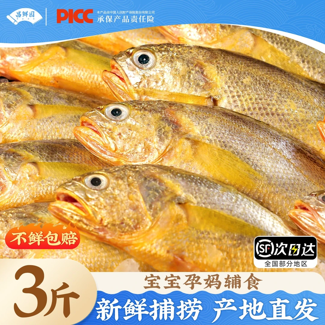 正宗舟山小黄鱼新鲜海鲜深海小黄花鱼美味生鲜冷冻鲜活烧烤鲜美