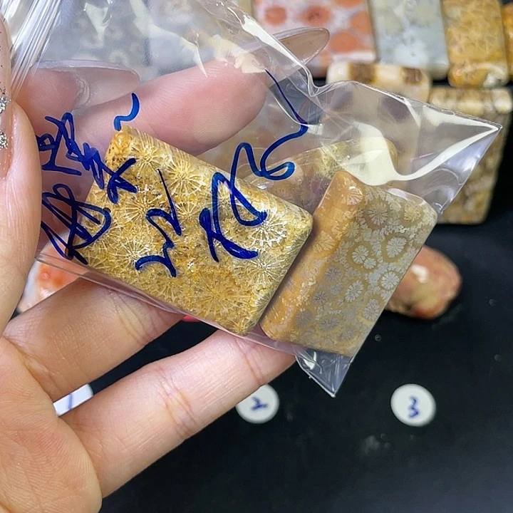硅化珊瑚（珊瑚玉）珠宝金石合金海**雨