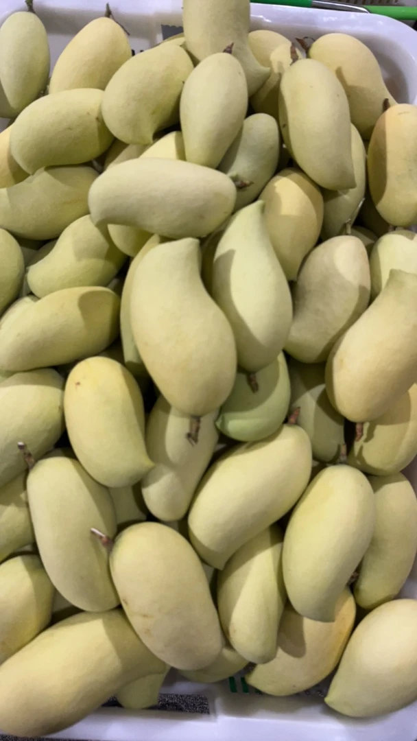 云南边境山货～鹰嘴芒果～悠悠甄选