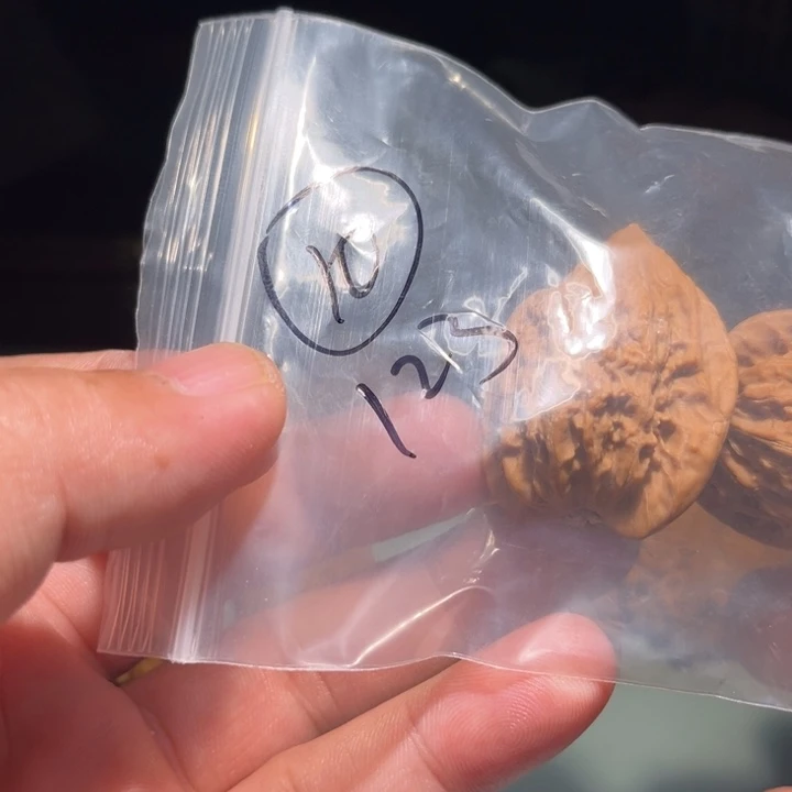 红***炒文玩核桃吊坠10呃呃呃呃