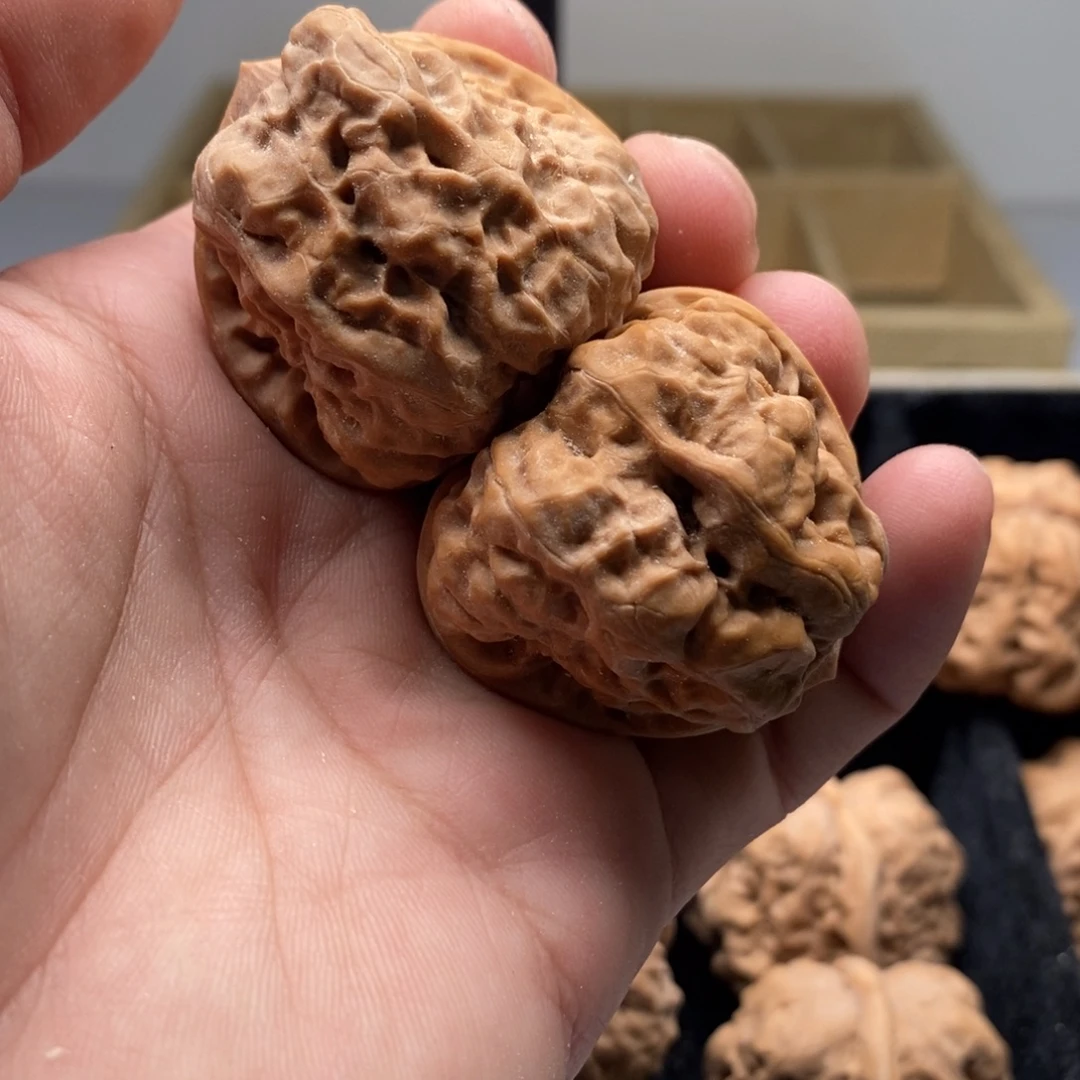 今***鹰好的我真的是太喜欢了一个人