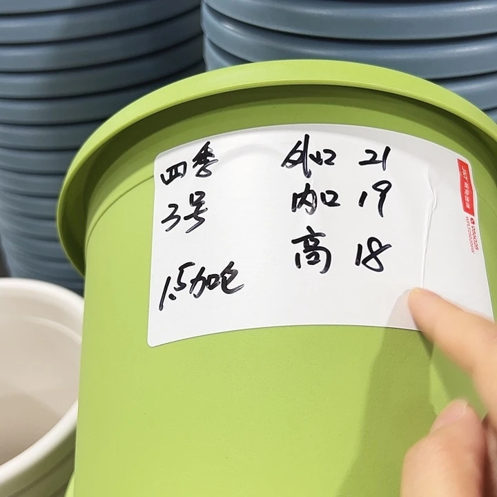 四季3号特价果绿色10个无托