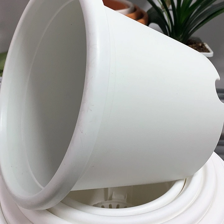 5加奶白无托4个圆形