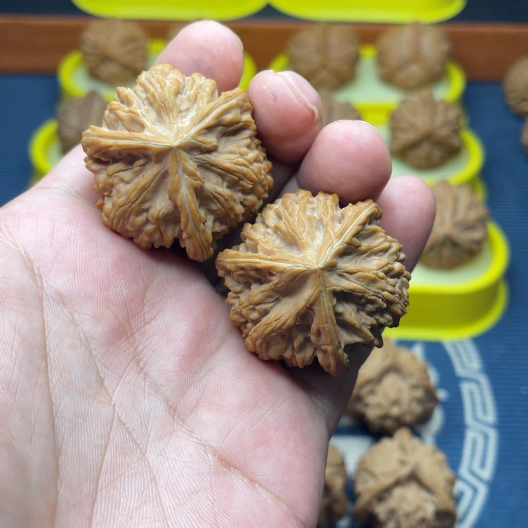 手串/手链核桃玉龙粗筋全品40.5正奔