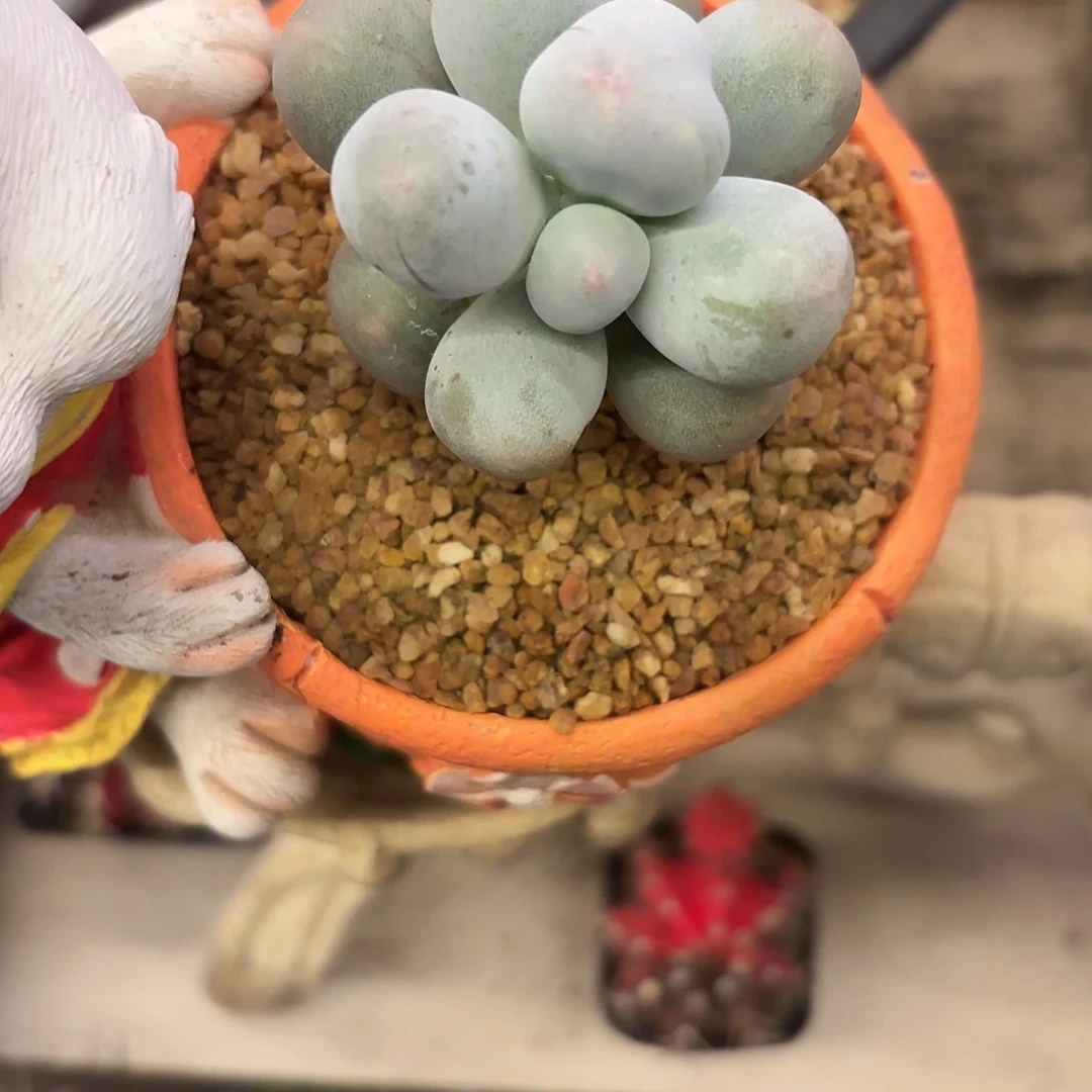 W***？啦啦啦啦啦啦啦啦啦啦