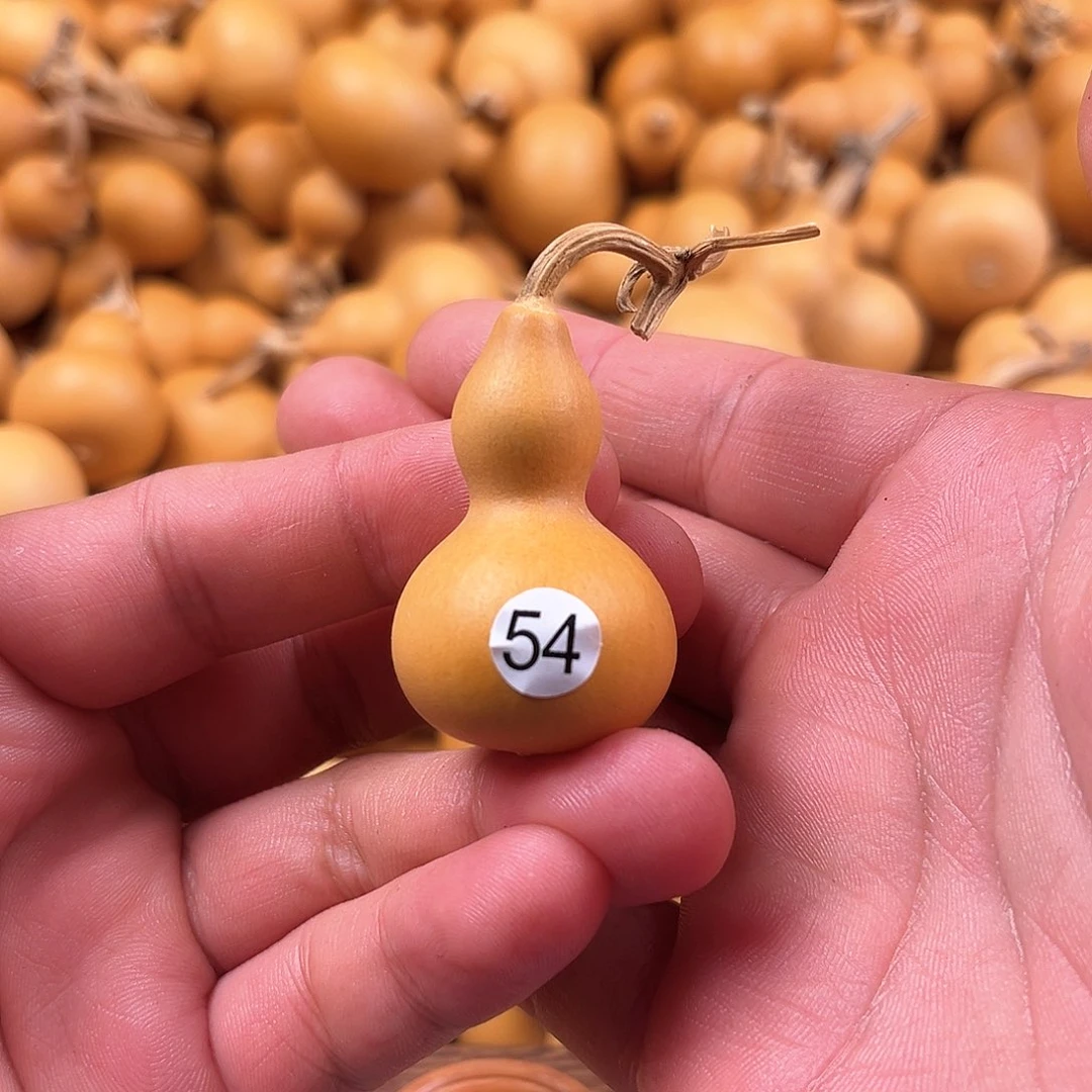 三葫芦葫芦葫芦54