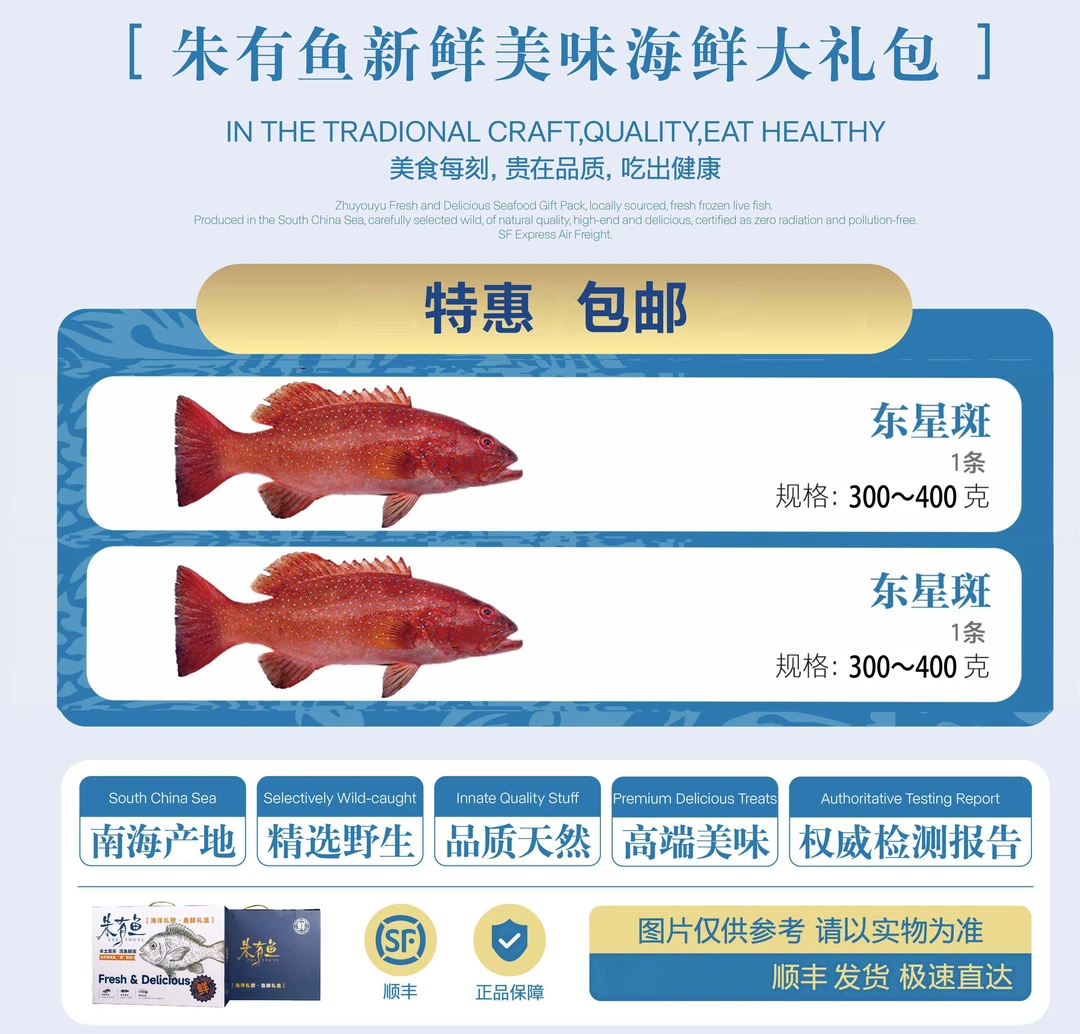 【朱有鱼】南海野生海鲜正东星斑新鲜海鱼套餐无小刺适合宝宝孕妈妈