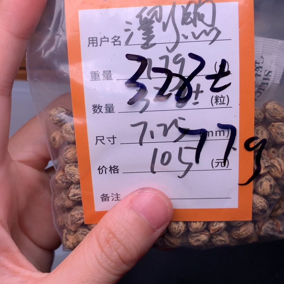 瀏***煦柏香籽/百香籽吊坠