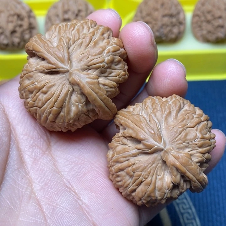 文玩核桃白狮子42