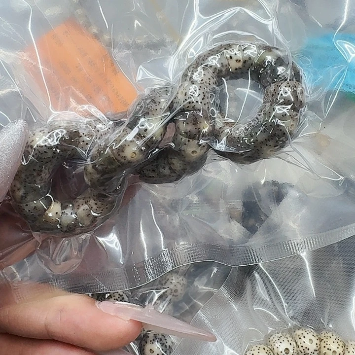 星月菩提手串480卓越星月菩提猪大肠10单圈