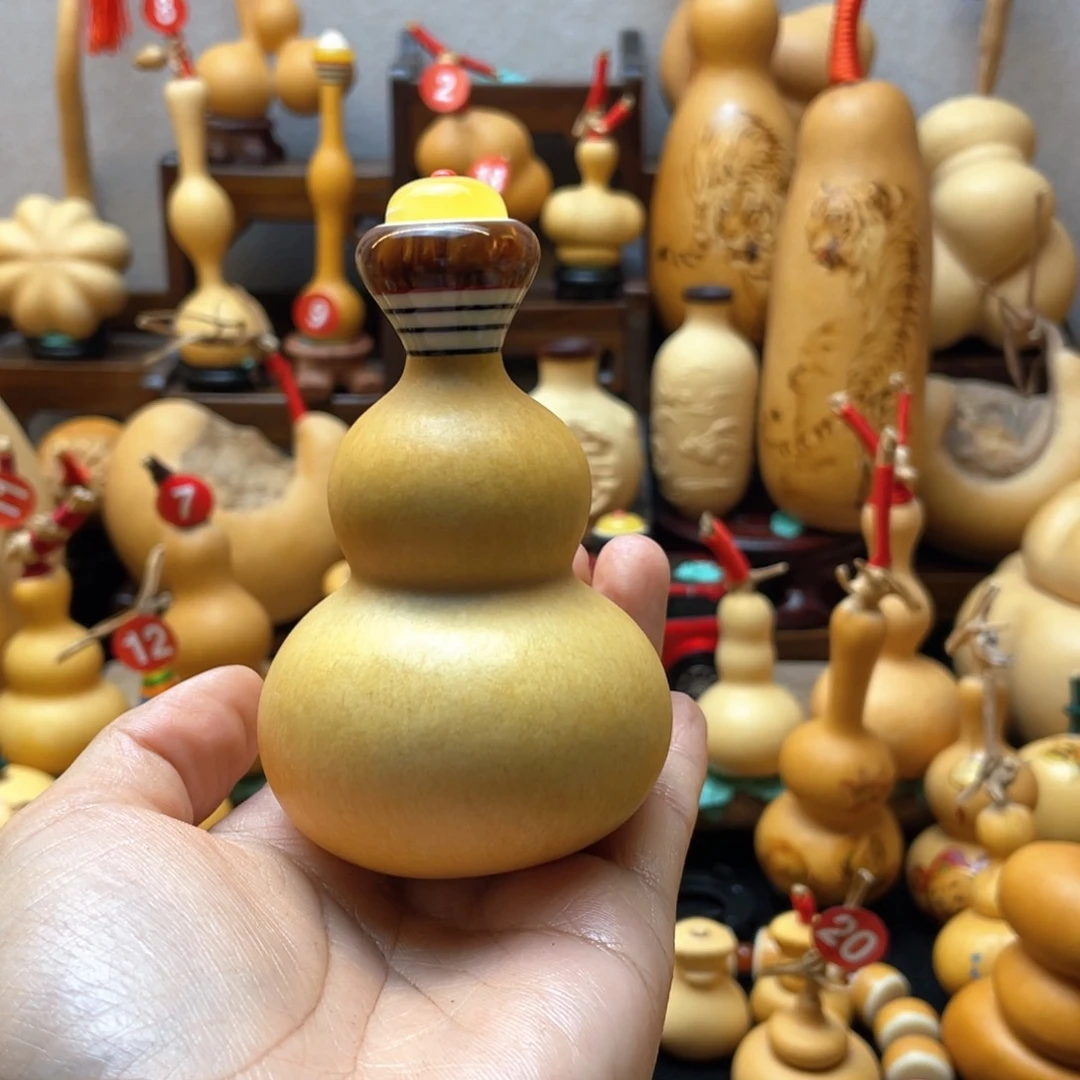 鑫***钢大自然的秘密第十一课你是什么