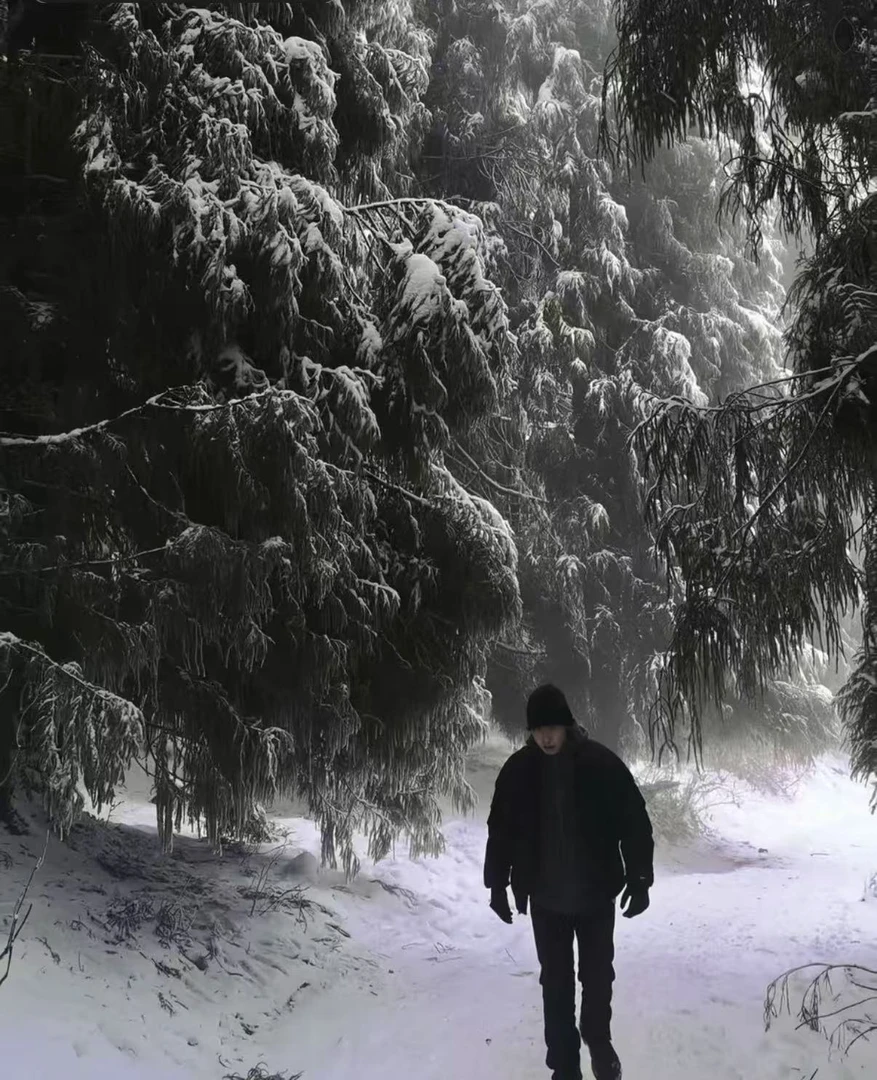 飞燃SV休闲户外男女款鹅绒服【霖BK】12/5