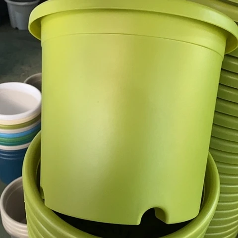 树脂四季4号果绿无托10个特价