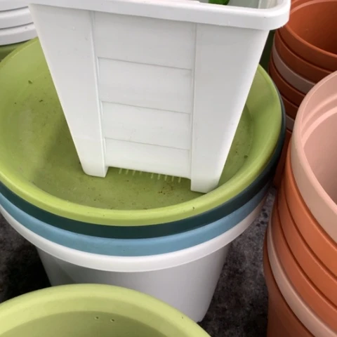 魏*士19白方带托6个方形