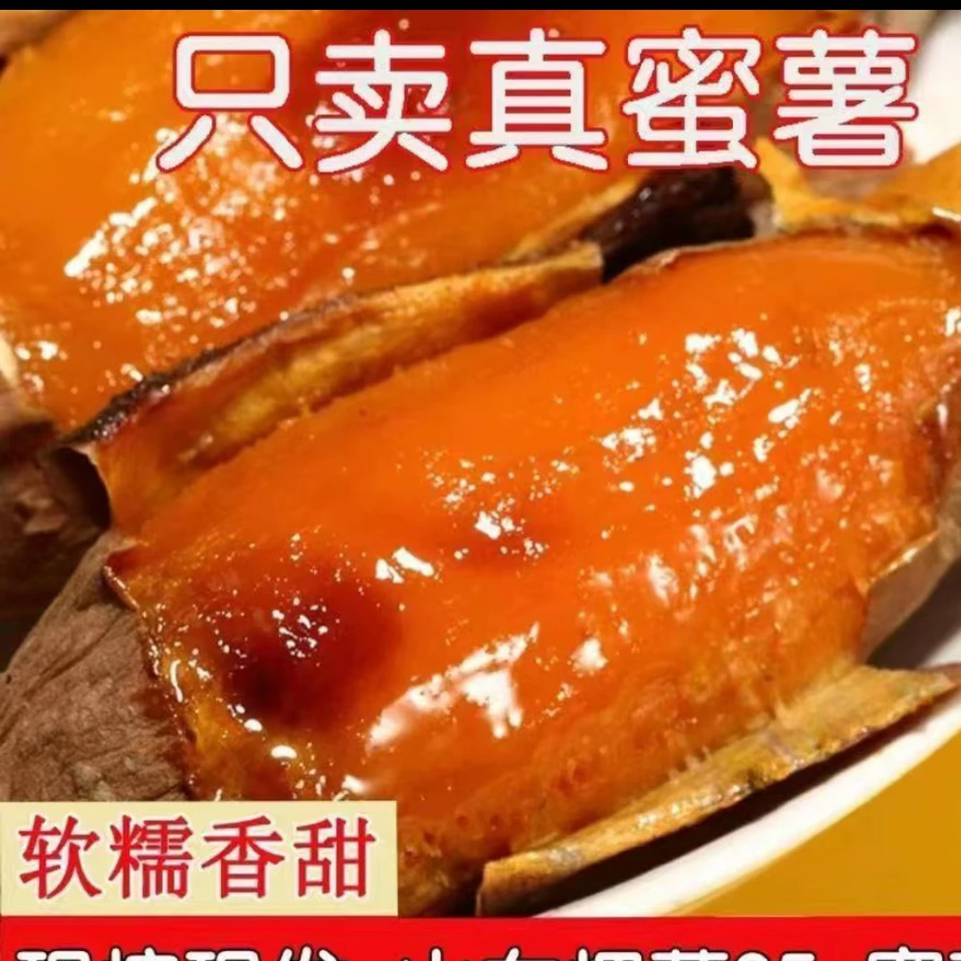 山东正宗烟薯25号农家自种烟薯25号山东省