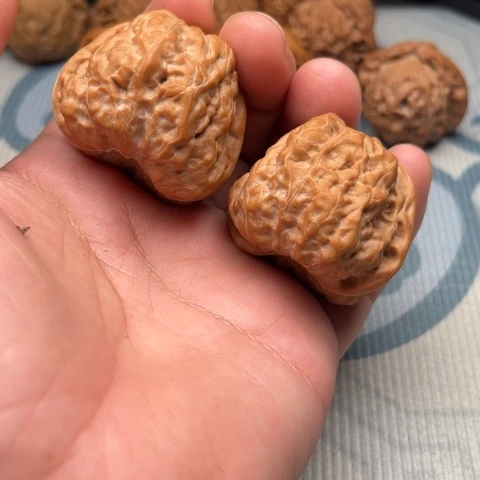 明***。文玩核桃吊坠蛤蟆