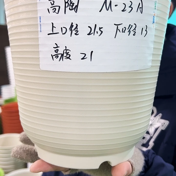 正品高陶口21高21米色6个无托