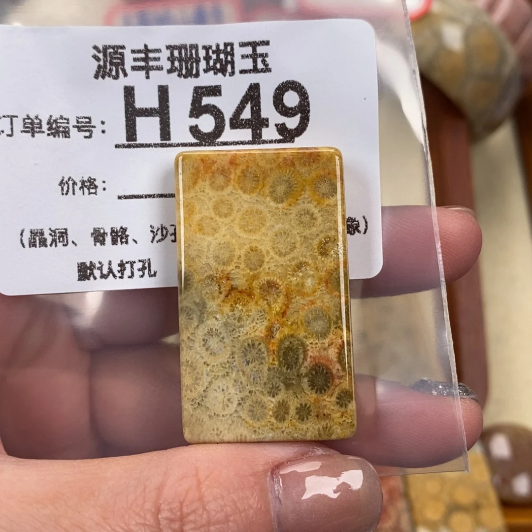 硅化玉颈饰未镶嵌这***子