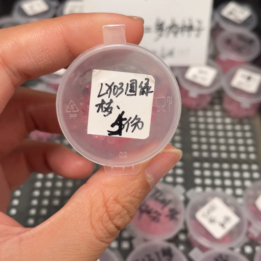 圆绿珍妮ly03x梦露20粒