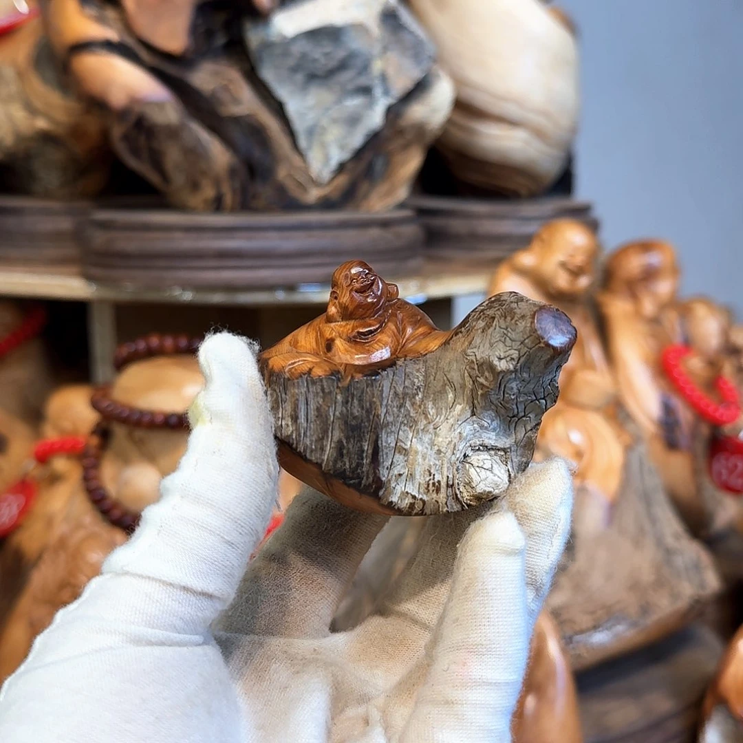 柏木（崖柏）66666666666